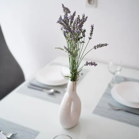Ridulin Apartment *